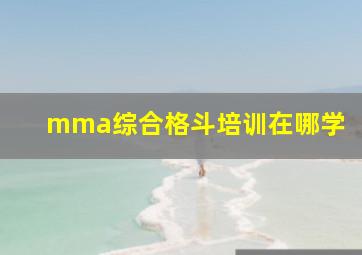 mma综合格斗培训在哪学