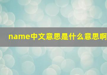 name中文意思是什么意思啊