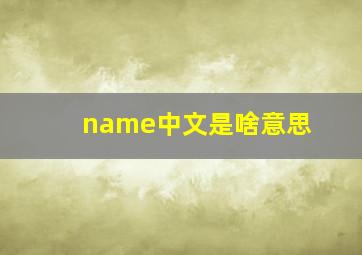 name中文是啥意思