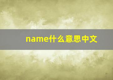 name什么意思中文