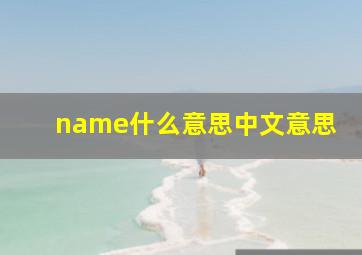 name什么意思中文意思