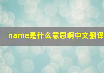 name是什么意思啊中文翻译