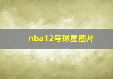 nba12号球星图片