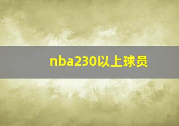 nba230以上球员