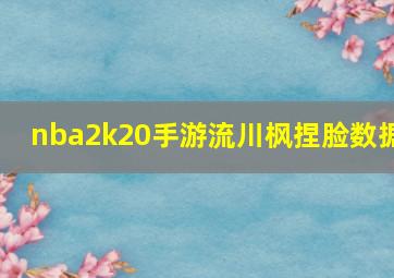 nba2k20手游流川枫捏脸数据