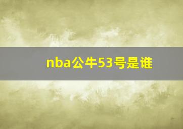 nba公牛53号是谁