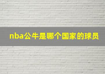 nba公牛是哪个国家的球员