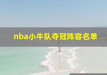 nba小牛队夺冠阵容名单