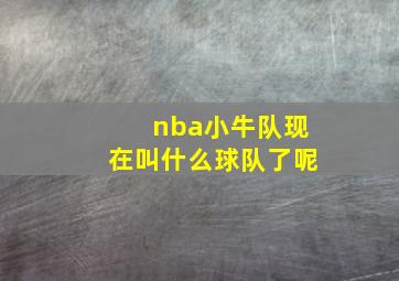 nba小牛队现在叫什么球队了呢