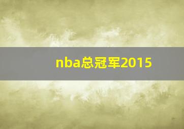 nba总冠军2015