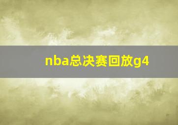 nba总决赛回放g4