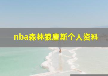 nba森林狼唐斯个人资料