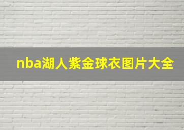 nba湖人紫金球衣图片大全