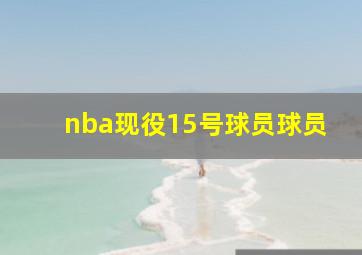 nba现役15号球员球员