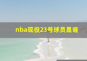 nba现役23号球员是谁