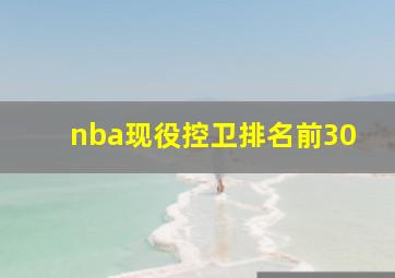 nba现役控卫排名前30