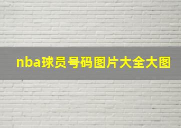 nba球员号码图片大全大图