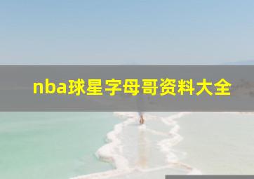 nba球星字母哥资料大全