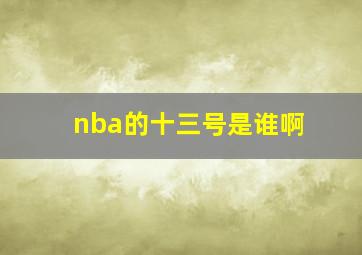 nba的十三号是谁啊