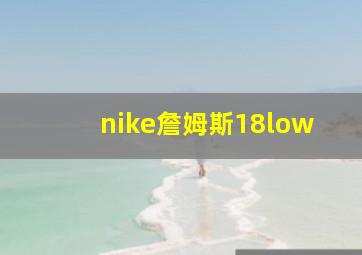 nike詹姆斯18low