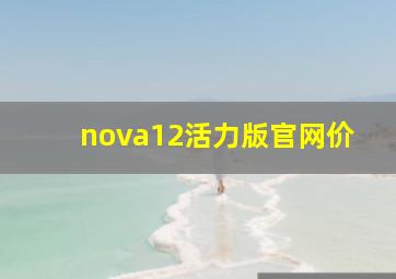 nova12活力版官网价