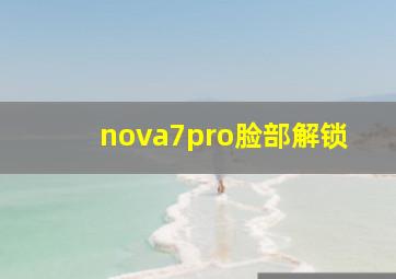 nova7pro脸部解锁