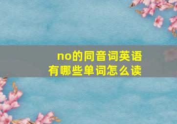 no的同音词英语有哪些单词怎么读