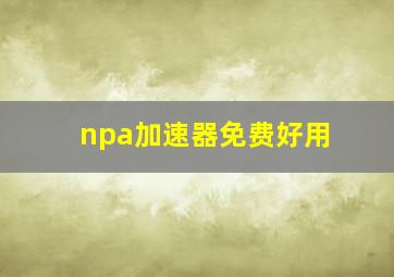 npa加速器免费好用