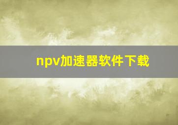 npv加速器软件下载