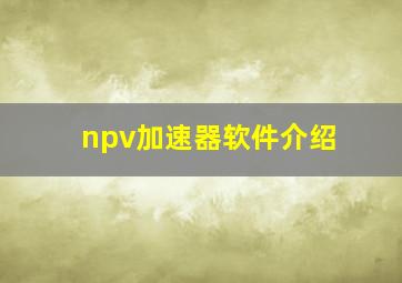 npv加速器软件介绍