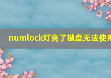 numlock灯亮了键盘无法使用