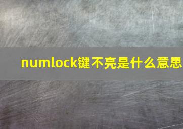 numlock键不亮是什么意思