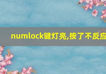 numlock键灯亮,按了不反应