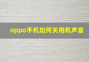 oppo手机如何关相机声音