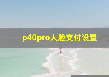 p40pro人脸支付设置