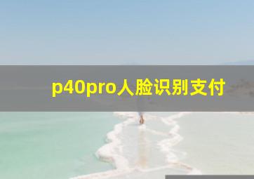 p40pro人脸识别支付