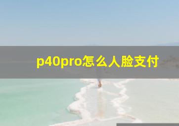 p40pro怎么人脸支付