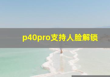 p40pro支持人脸解锁