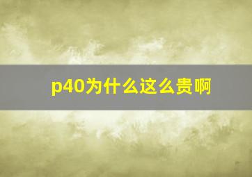 p40为什么这么贵啊