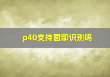 p40支持面部识别吗