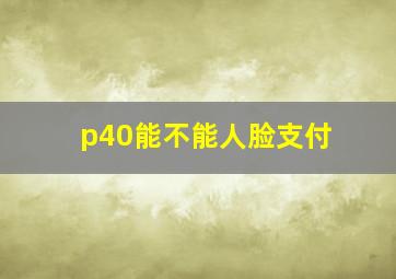 p40能不能人脸支付