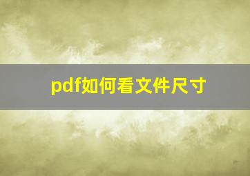 pdf如何看文件尺寸