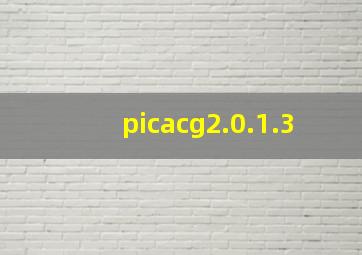 picacg2.0.1.3