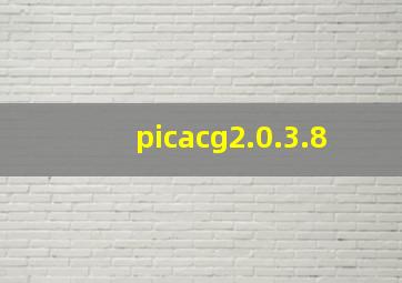 picacg2.0.3.8