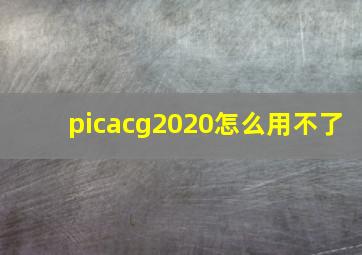 picacg2020怎么用不了