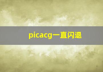 picacg一直闪退