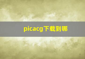 picacg下载到哪