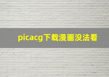 picacg下载漫画没法看