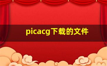 picacg下载的文件