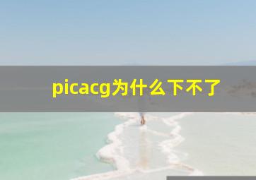 picacg为什么下不了